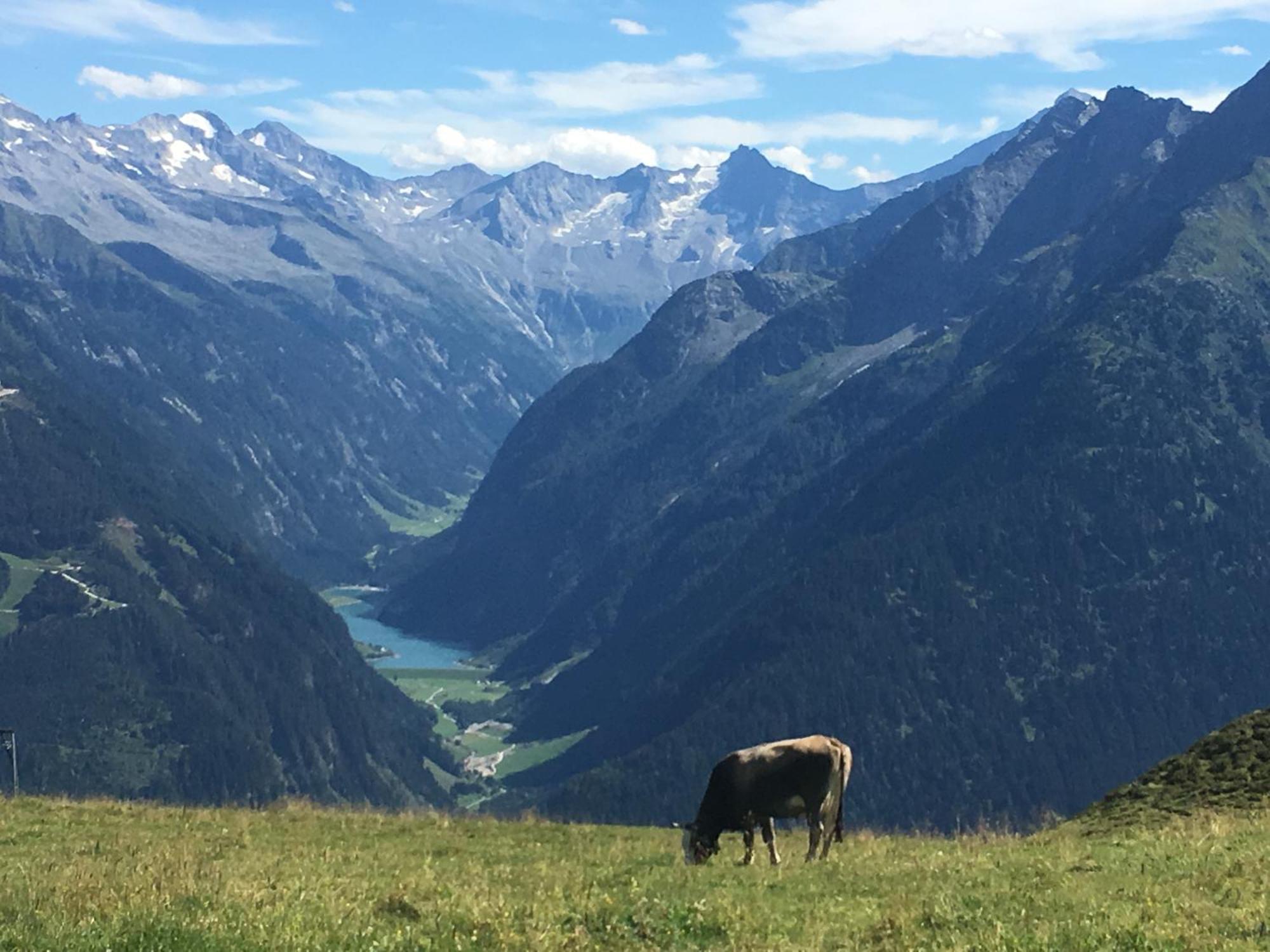 Landhaus Katharina Bis 12 Personen Mit Saunachalet Und Blick Auf Die Bergwelt Des Zillertals Hippach Extérieur photo